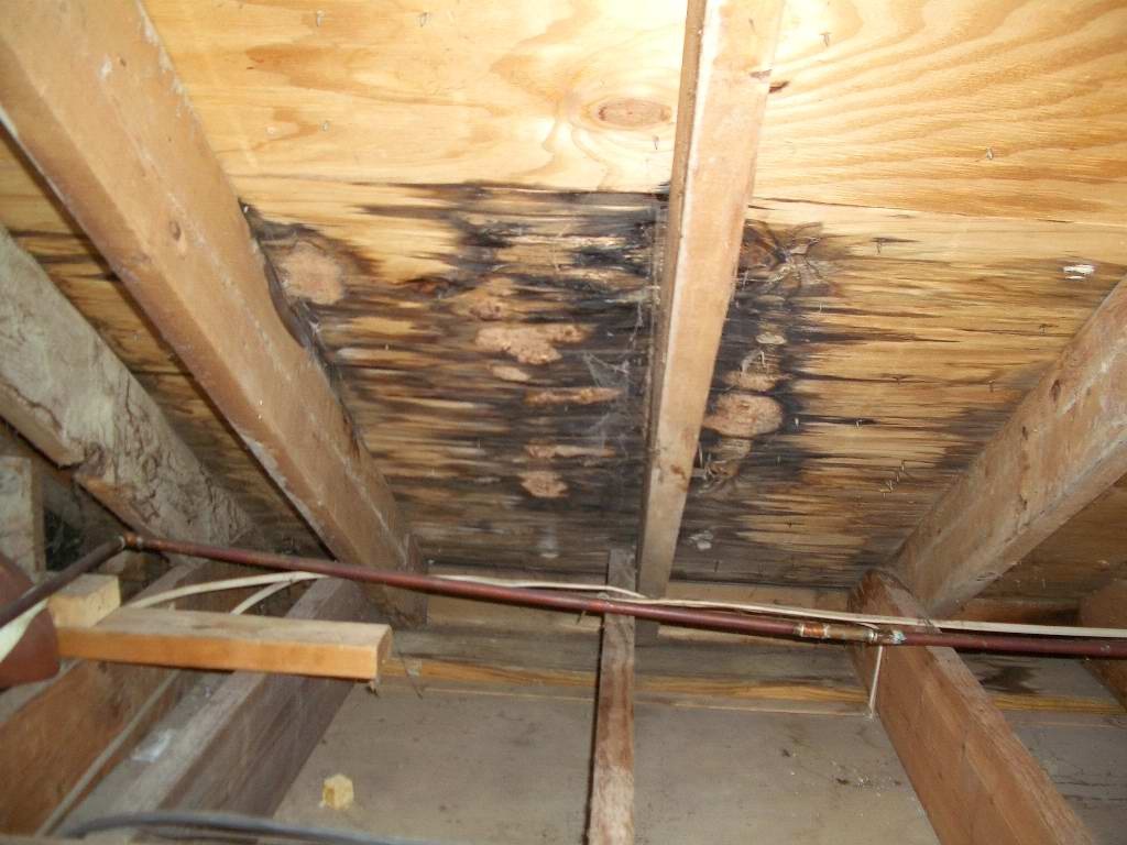 Roof Repair Tips For Fixing A Leaking Roof From Inside - narvik