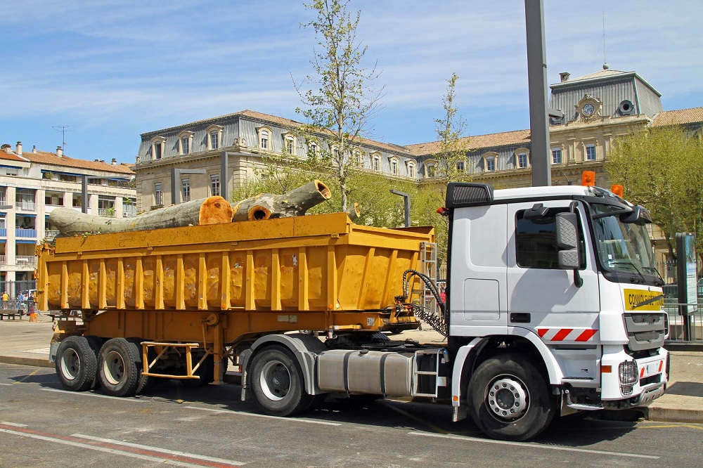 How Can You Benefit from Hiring a Dumpster Rental Service?
