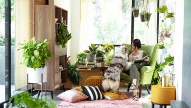 Photo of Every Pinterest Décor Ever: The Reign of Indoor Plants