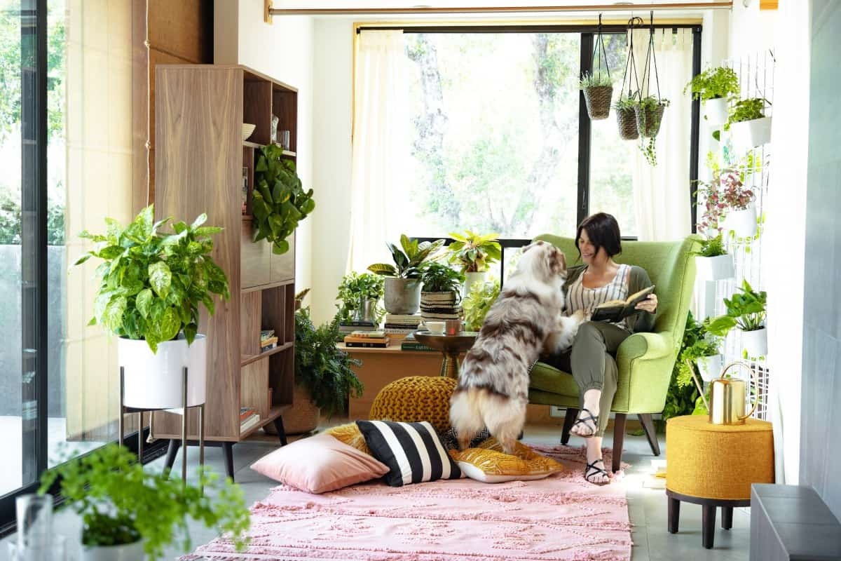 Every Pinterest Décor Ever: The Reign of Indoor Plants