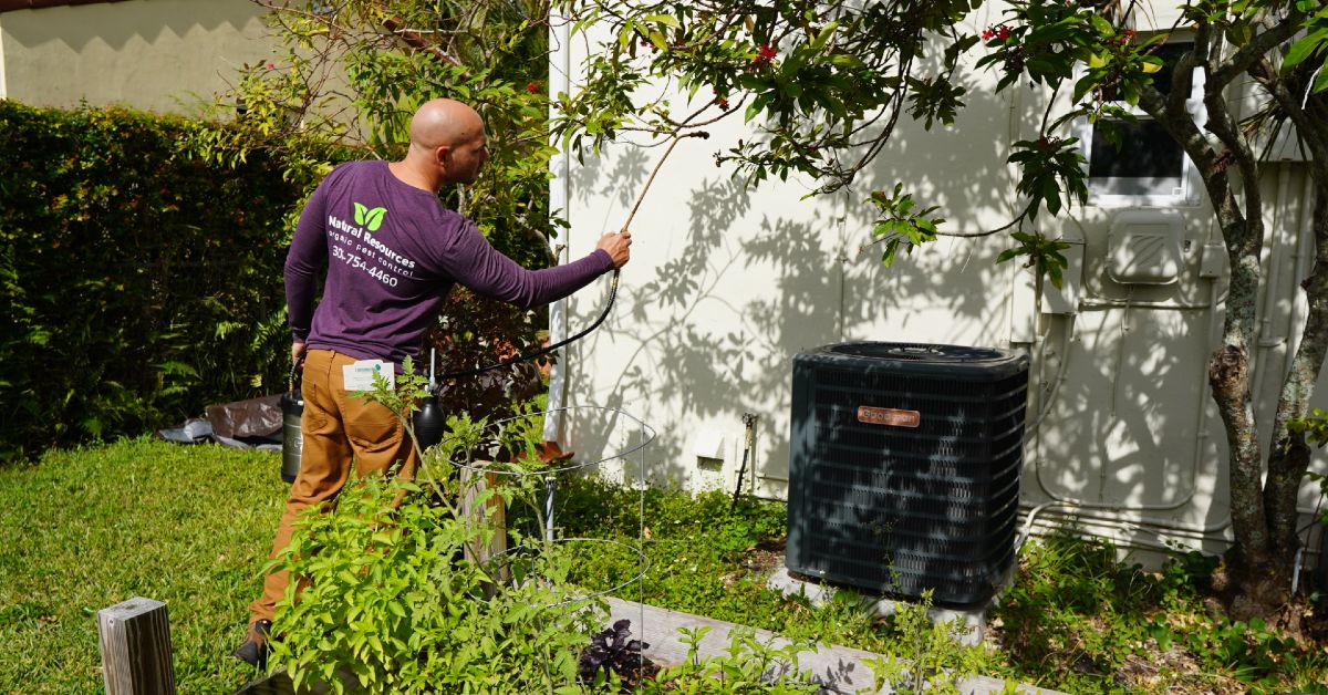 Hiring a pest control SEO service? Don’t do these things!