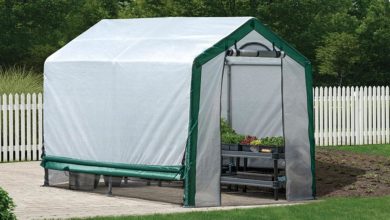 Photo of Five Benefits of Greenhouse by Mygardenandpatio