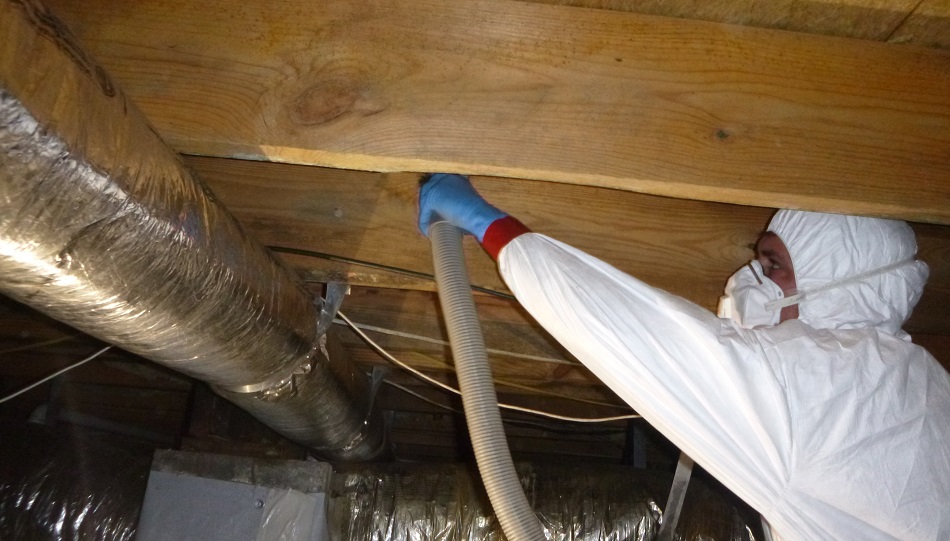 How to Remove Mold from Crawl Space? narvik home parcs