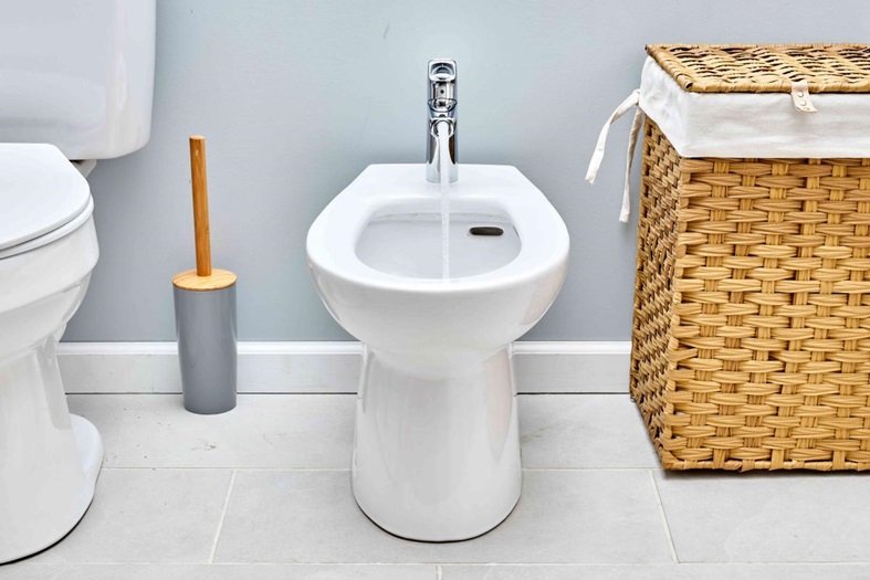 Why Using a Bidet Is Sanitary and Safe narvik home parcs