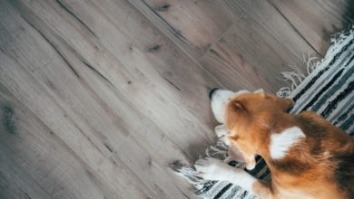 Is engineered hardwood good for dogs