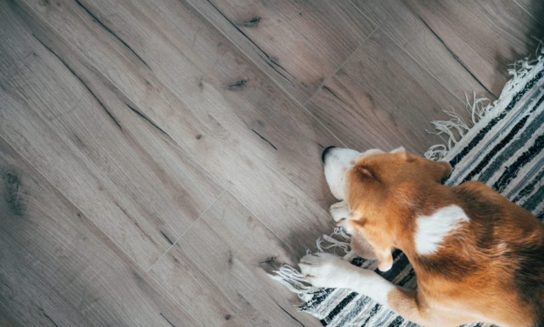 Is engineered hardwood good for dogs