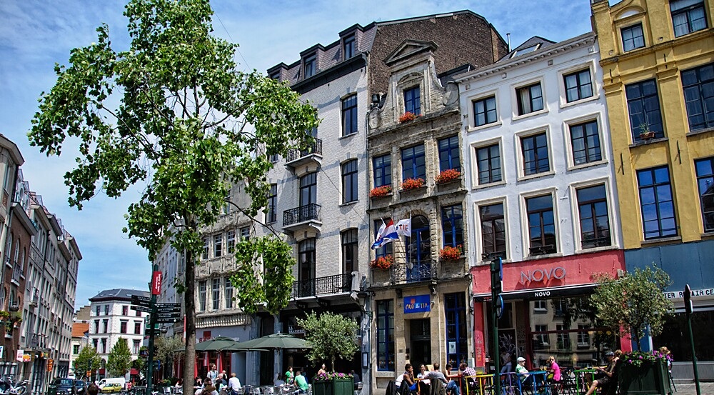 Welcome to Novo Place EC Where Every Detail Speaks of Sophistication