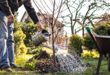gardening techniques