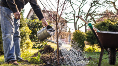gardening techniques