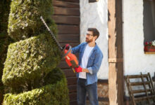 landscape design services