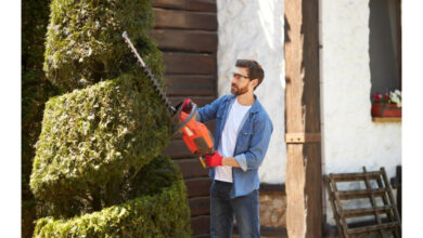 landscape design services