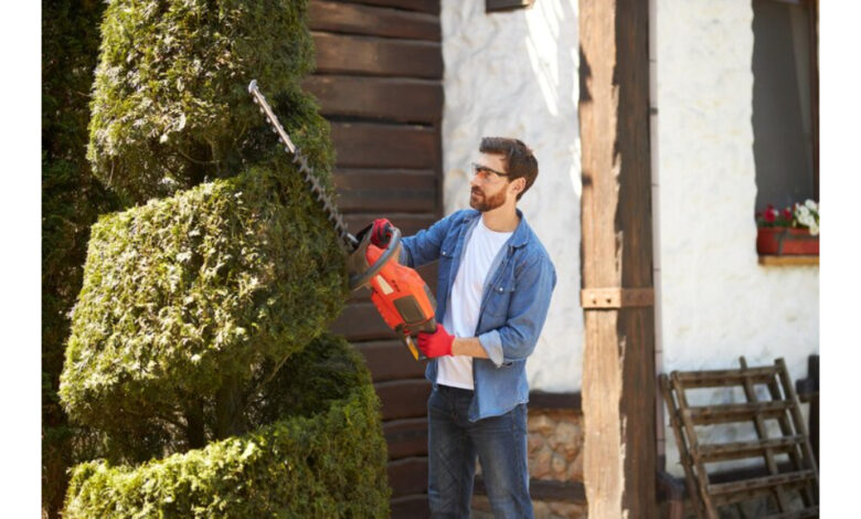 landscape design services