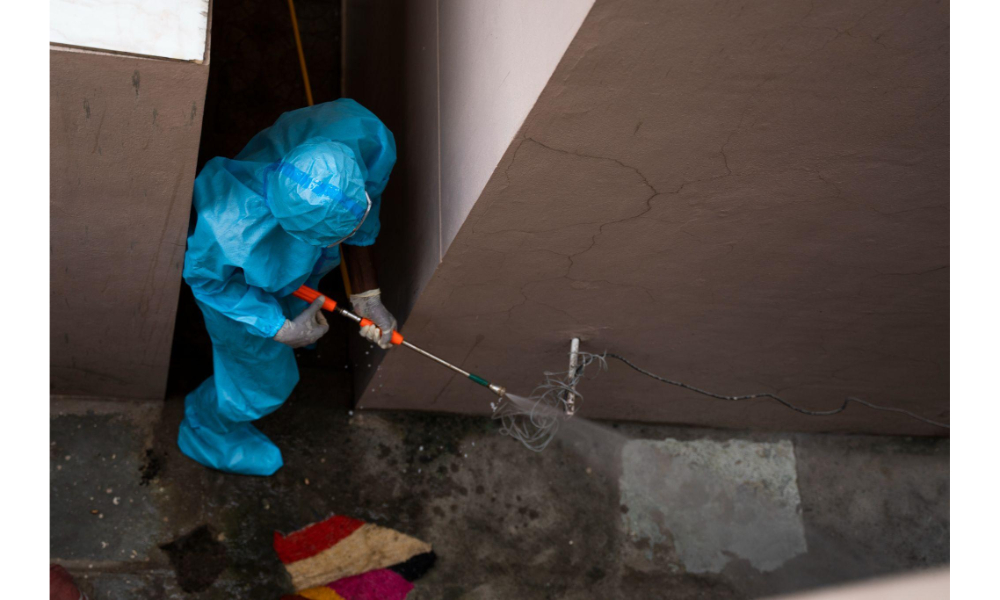 What Happens During an Emergency Mould Removal?