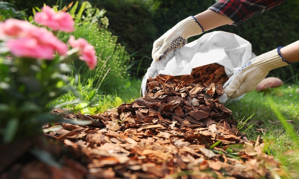 Mulch Mound – Considerations When Considering Delivery Services